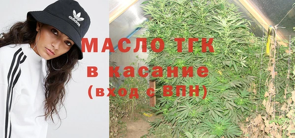 молекула духа Мегион