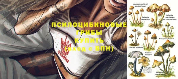 a pvp Медвежьегорск