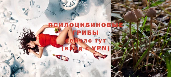 индика Бердск