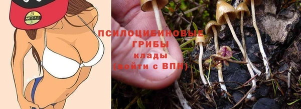 индика Бердск