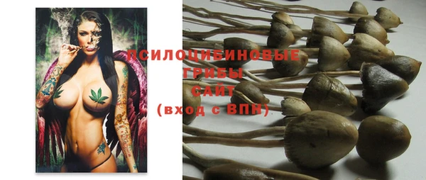 прущая мука Медногорск