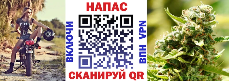 Конопля SATIVA & INDICA  Пошехонье 